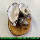 Oyster Paua Ring Holder
