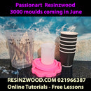 Ultimate Resin Starter Kit - Perfect for Beginners Valued $180.00 - $80.00