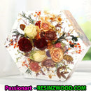 Resin Art Hexagon Mould