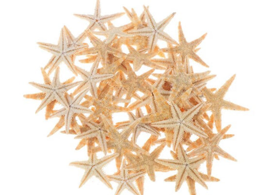 Resin Art Starfish 25pces