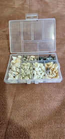 Resin Art NZ Conch Shells - Resinzwood