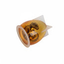 Baby Dragon in Egg Shell Mould
