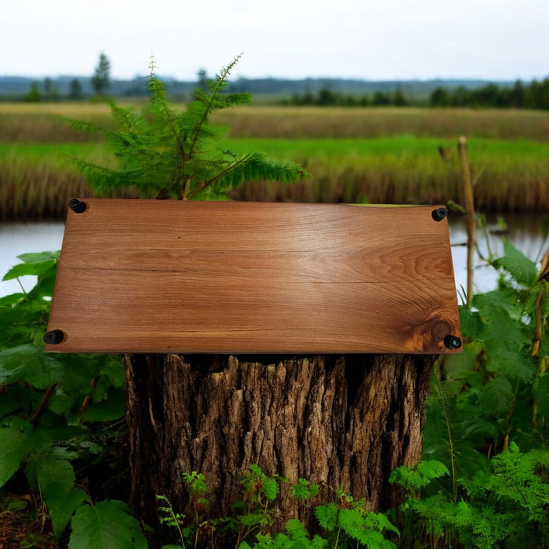 Hand-crafted serving Platter lemon epoxy edge