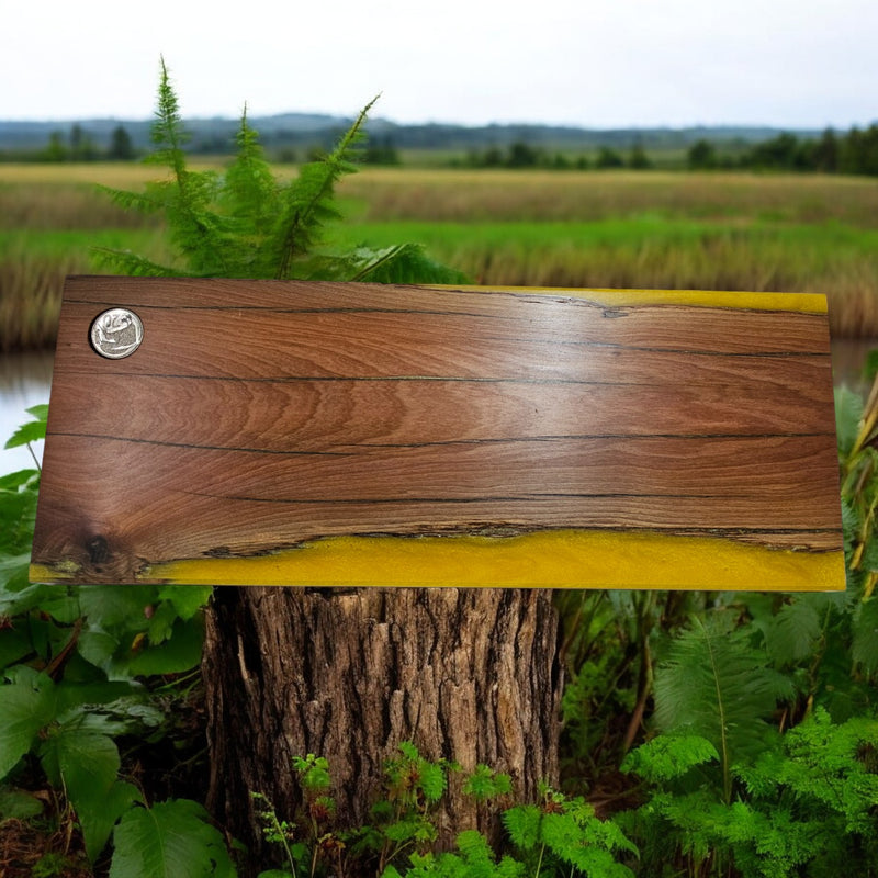 Hand-crafted serving Platter lemon epoxy edge