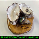 Oyster Paua Ring Holder