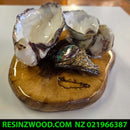 Oyster Paua Ring Holder
