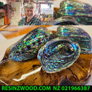 Paua Keepsake Handcrafted
