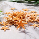 Starfish Pack of 50 Plus Resinzwood