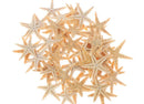 Resin Art Starfish 25pces